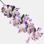 White/Lilac (G262-21)