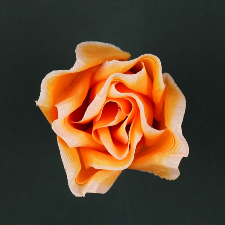 Róża Baccara