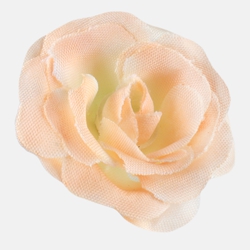 Róża mini W290B