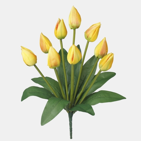 Tulipan x 9