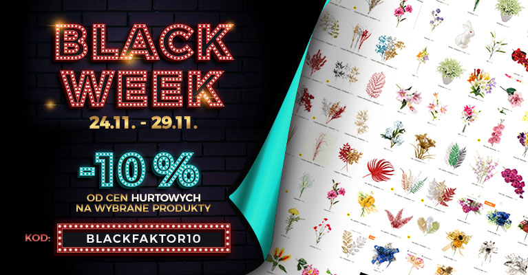 Black Week 10% taniej