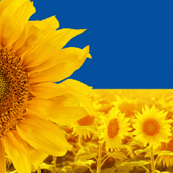 Pomoc Ukrainie