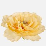 Yellow/Yellow Center (W318-02)