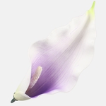 Lilac/Cream (W738-11)