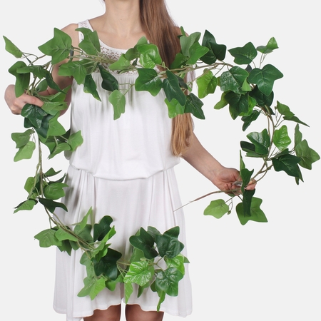 Hedera girlanda 2 m