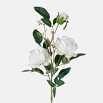 White/Green (L789P-01)
