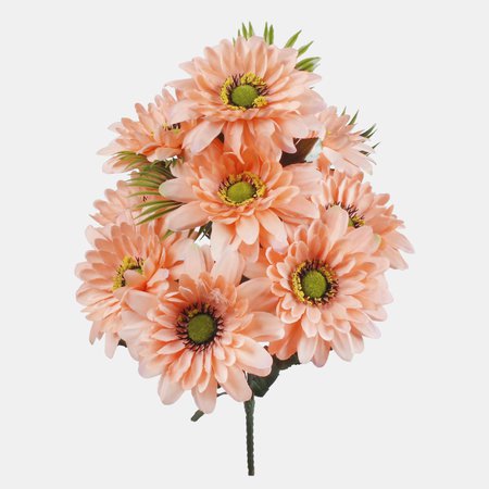 Gerbera x 9