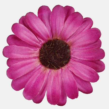 Gerbera mini