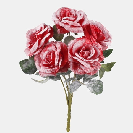 Róża oszroniona bukiet x 5