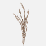 Champagne (S686-03)