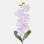 Lilac (L160-06)