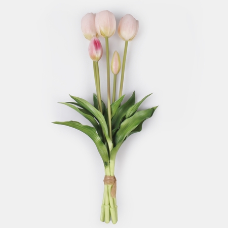 Tulipan gumowany bukiet x 5