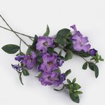 Purple/Violet (L754-02)