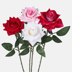 Róża welwetowa G410