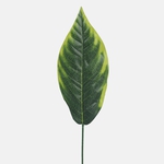 Green/Lt. Green Edge (A810C)