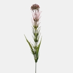 Lt. Pink (A778K-04)