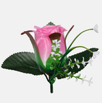 Pink (W238-21)