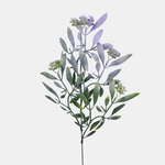 Lilac (A784K-02)
