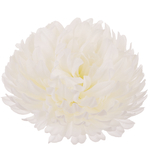 Cream (W710-02)