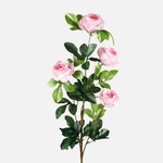 Pink (L098K-03)