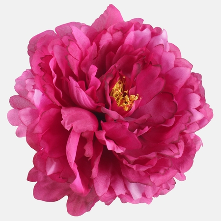 Peonia