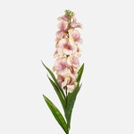 Cream/Lt. Lilac (L837K-05)