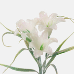 White (S672-03)