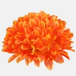 Orange (W498-11)