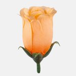 Lt. Orange (W645-05)