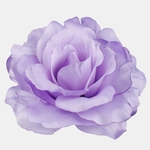 Lt. Lilac (W729-17)