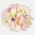 TT. Green/Lt. Pink/Violet Edge (W611P-27)