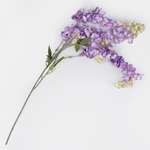 Lilac (K121-06)
