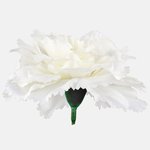 Cream (W680-03)