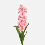 Lt. Pink (L837K-03)
