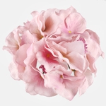 Autumn Pink (W611P-20)