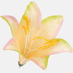 Yellow/Pink/Green Edge (W374-29)