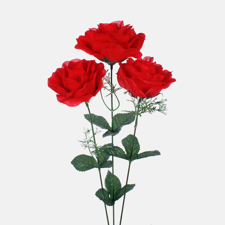 Róża x 3