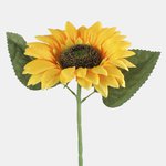 T.T. Yellow (L773-01)