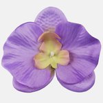 Lilac (W665-05)