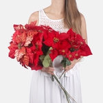 Red (X900M)