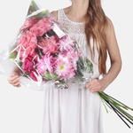 Pink (X900Y)