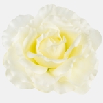 Cream/Yellow (W544-04)