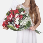 Red/White (X900L)