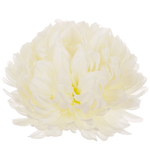 Cream (W710-03)