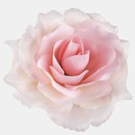 Lt. Peach/Lt. Pink (W625-29)