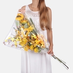 Yellow (X002I)