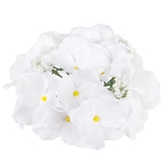 White (W611-01)