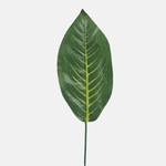 Green (A810E)