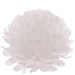Pure White (W710-01)