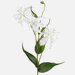 White (L800L-04)